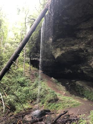 Picklesimer Rockhouse Falls 2