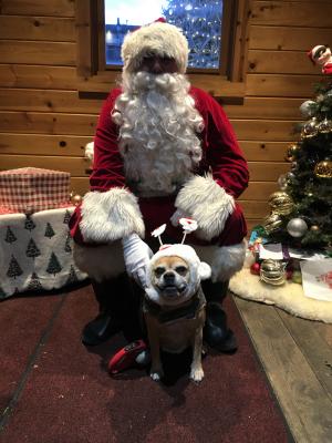 Santa w/ Dog