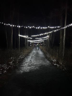 Luminary Walk