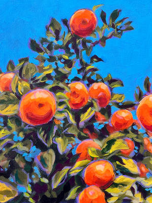 Seville Oranges, Pauline Wegman, Oil on Canvas (2025).jpg