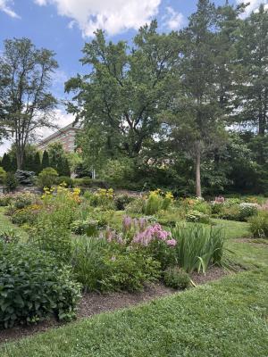 Reading Public Museum Arboretum