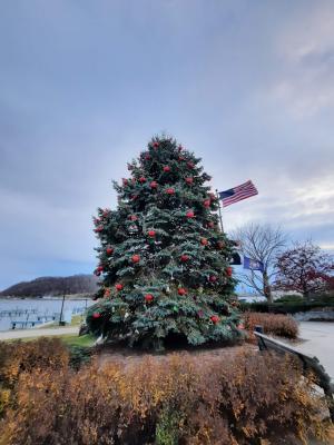 Frankfort Christmas Tree