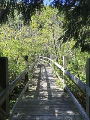 Bridge at Leelanau State Park
