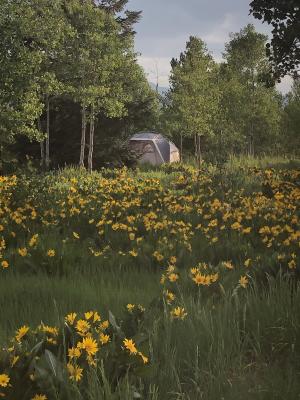 camp spot with tent