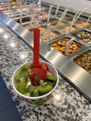 Picture of Sweet Frog sweet tret on counter with toppings in the background