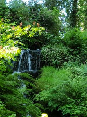 Lower Burnett Waterfalls Trail