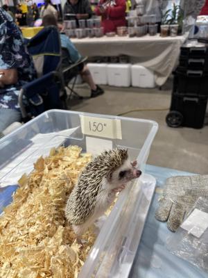 Lafayette Reptile & Exotic Pet Expo
