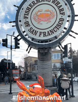 Crab Wheel Selfie - Augmented Reality Crab