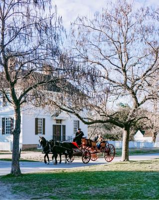 influencer kalyn carriage