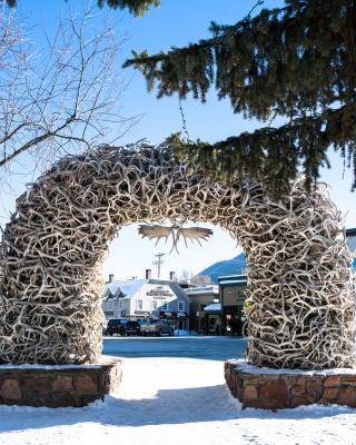 antler arch