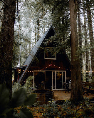 Cabin in the woods