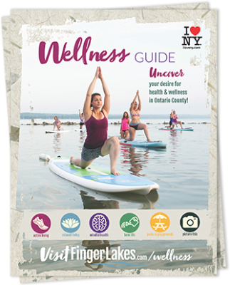 2019 Wellness Guide