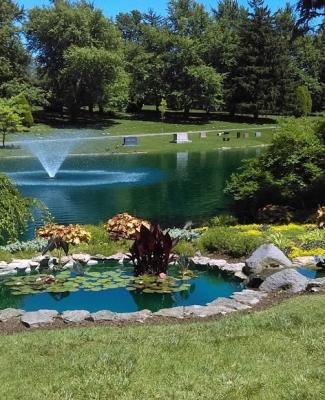 Fountain and Pond