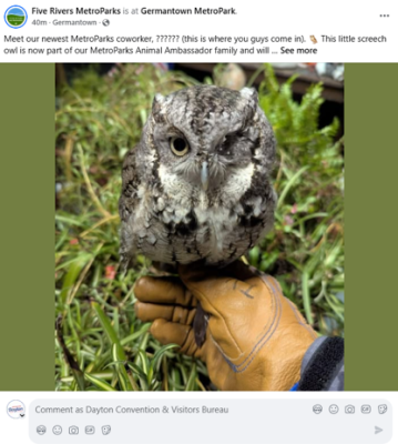 Germantown MetroPark Owls