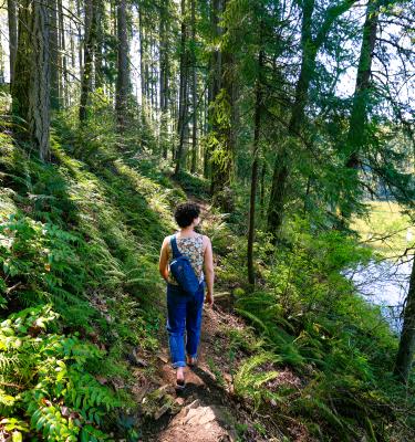 Lacamas Lake Creek Trail
