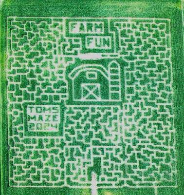 2024 Tom's Maze