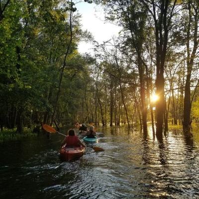 Kayakers Paddling Betty's Branch at Sunset