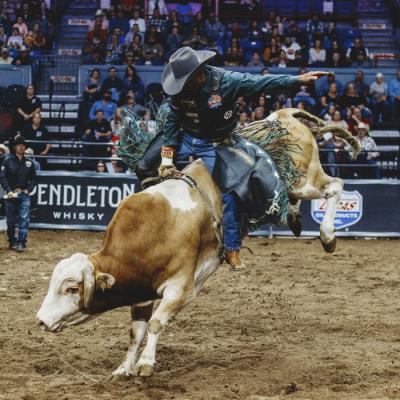 Velocity Tour Finals Google