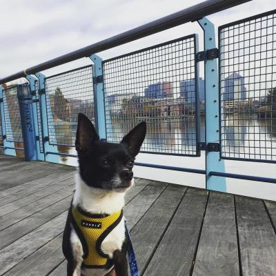 Riverfront Wilmington - PC - rockothebochi