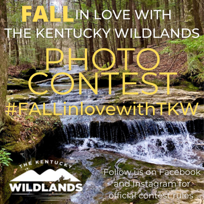 #FALLinlovewithTKW photo contest