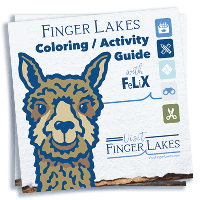 FLX Coloring Guide Thumbnail