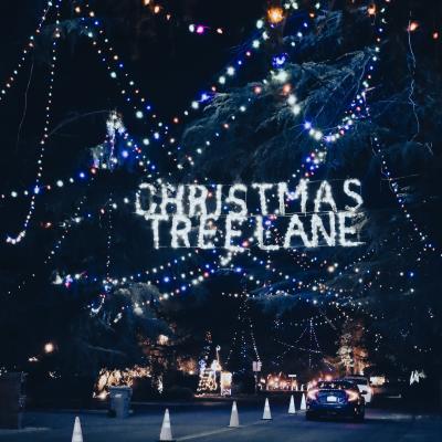 Christmas Tree Lane