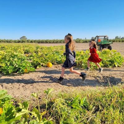 LoMac Pumpkin Patch