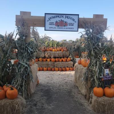 Fall Vlog  Outting With Friends, Pumpkin Patch, Haunted Cornmaze, and MORE  