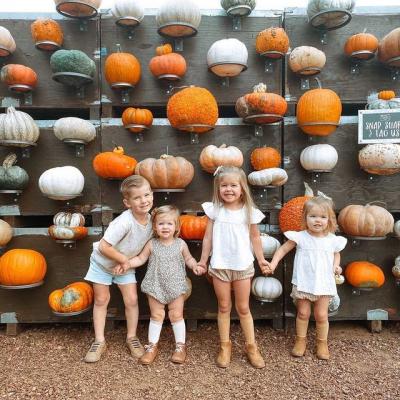 Sweet Thistle Farms pumpkin wall