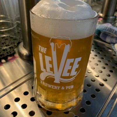 Levee Brewery- Pint