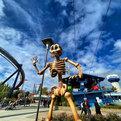 Halloweekends skeleton