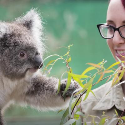 Videos - Discover Melbourne's Wildlife