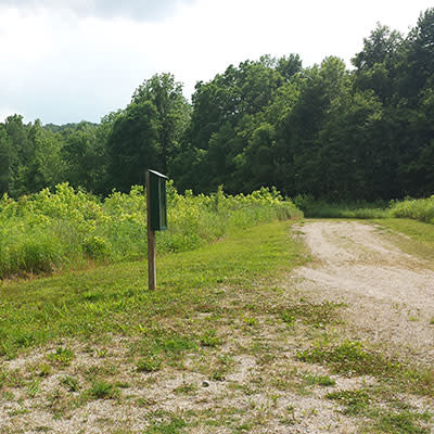 Burkhart On Trail