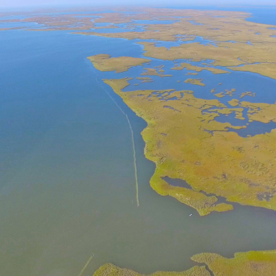 Coalition to Restore Coastal Louisiana - Oyster Shell Recycling Program - Wetlands
