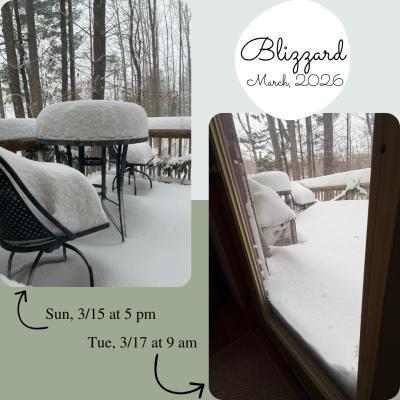 Blizzard March 2026