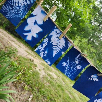 Light and Lavender: A Cyanotype High Tea Party 3