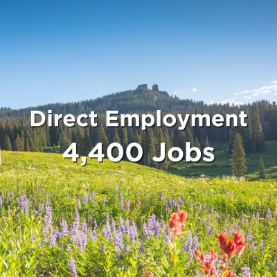 direct employment