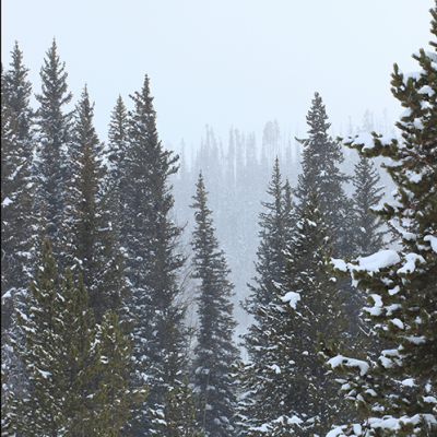 Steamboat Springs is a winter wonderland