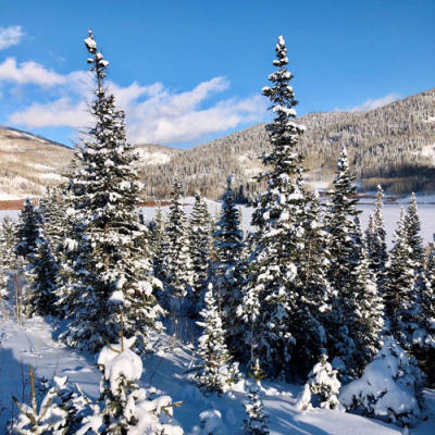 Pearl Lake State Park is a winter activity paradise