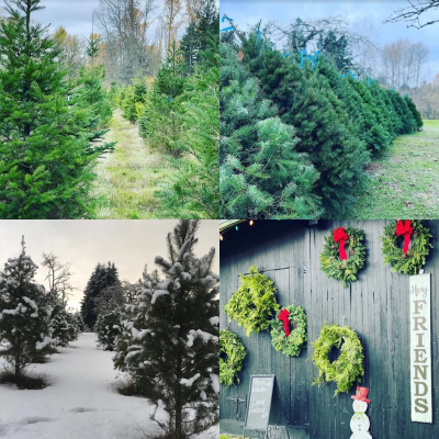 Green Acres Farms Christmas Tree Farm