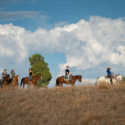 Horseback Riding in Temecula Valley 400x400