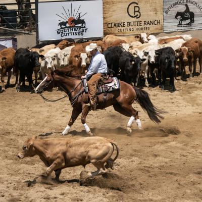 CRC Ranch Cattle Cutting