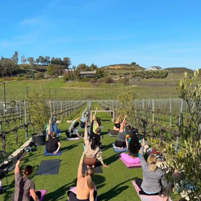 Yoga in the Vineyards at Akash Winery