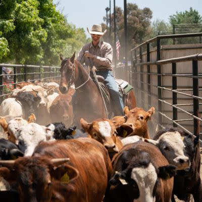 California Ranch Company
