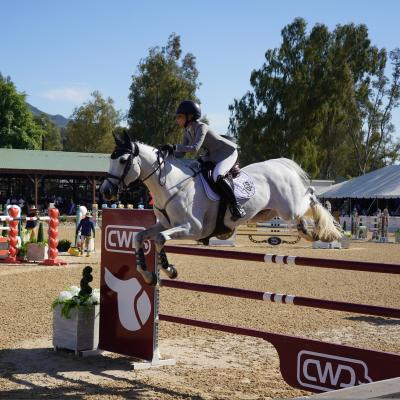 Galway Downs Equestrian Jumping