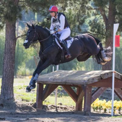 Galway Downs Equestrian Event