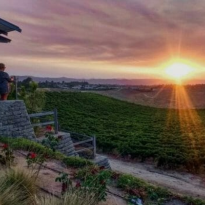 Copy of Callaway Winery Sunset