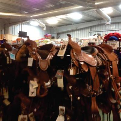 Big Horse Feed Shopping