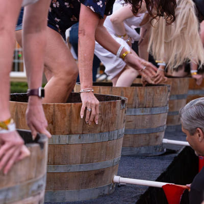 Grape Stomp