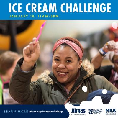Air Zoo Ice Cream Challenge